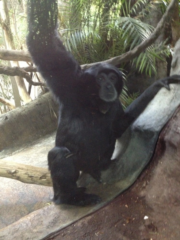 Find Restaurants Near Woodland Park Zoo Find Restaurants Near Woodland Park Zoo