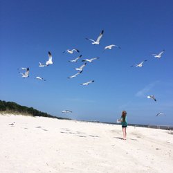 Bay St Louis Beach 35 Photos Beaches 916 S Blvd Photo Of Bay St Louis Beach Ms United States