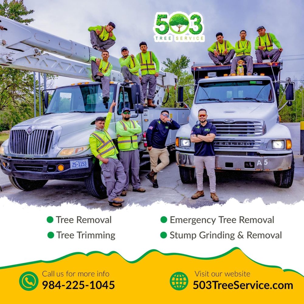 503 Tree Service