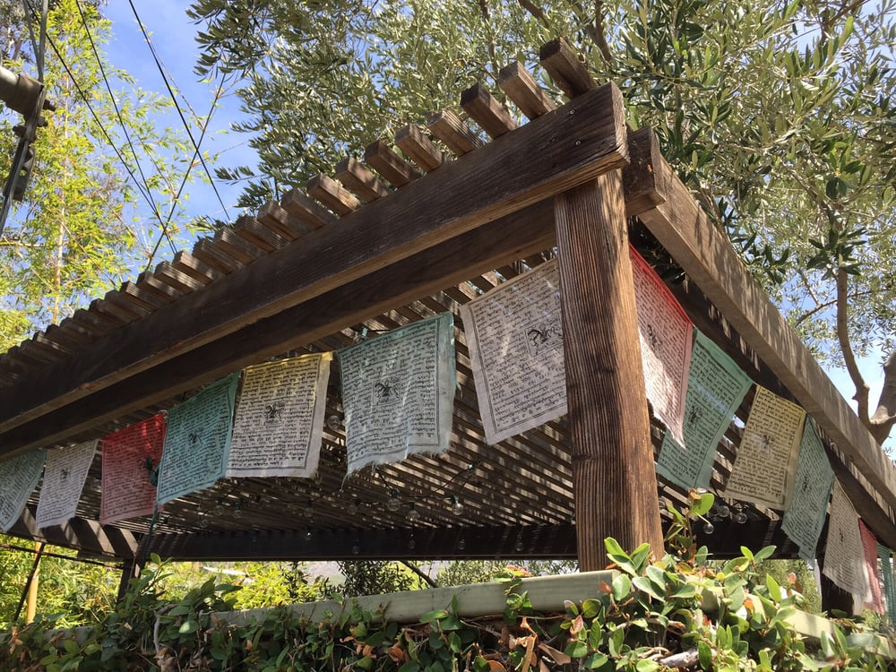 Beachwood Canyon 230 Photos & 40 Reviews Hiking 2800 Beachwood Dr