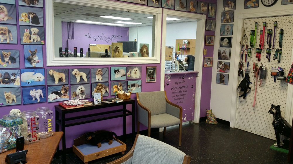 Paws For Effect 15 Reviews Pet Groomers 104 Woodmont Dr