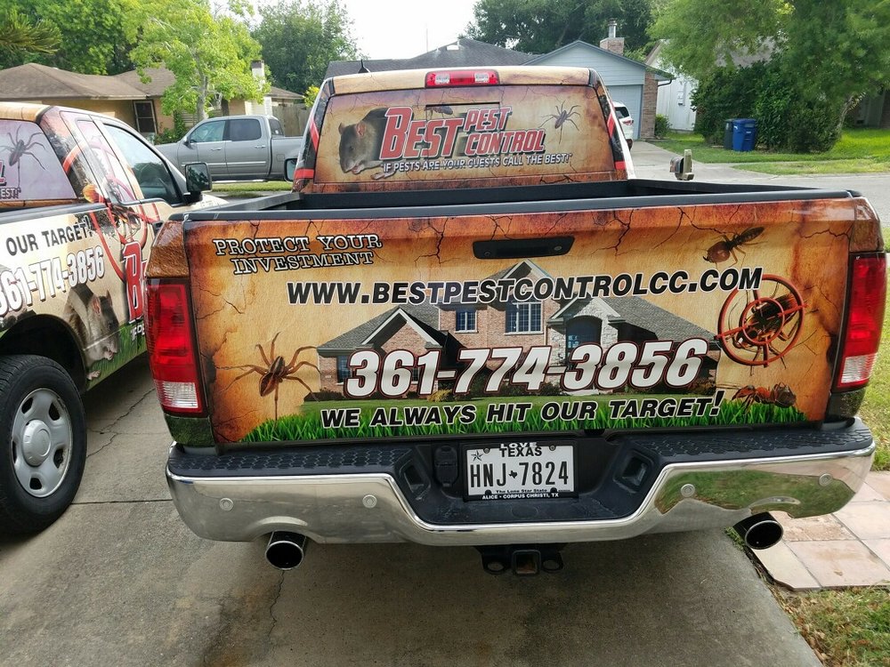 Best Pest Control