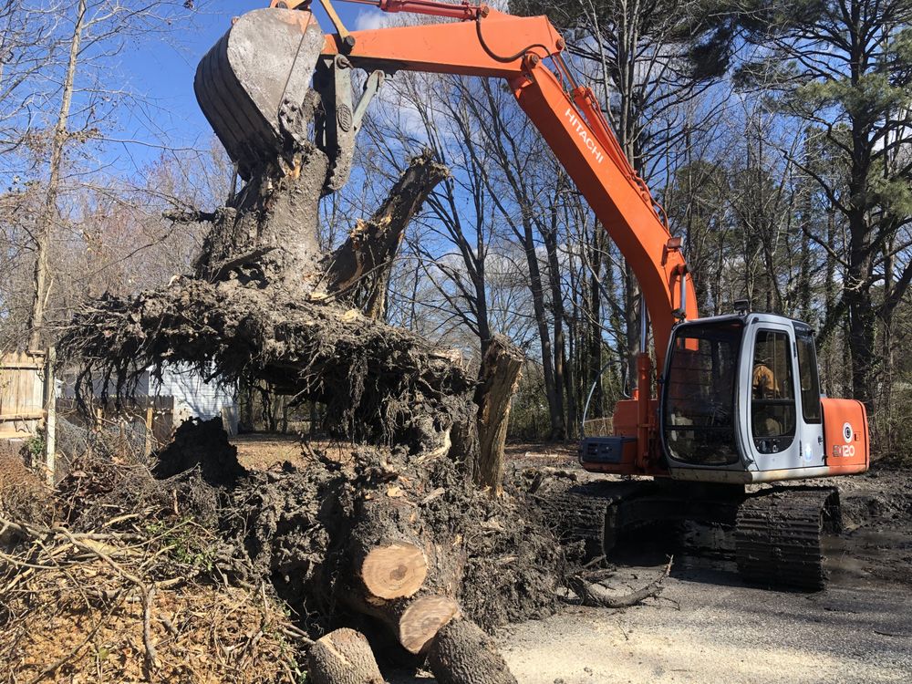 Trees R Us 25 Photos Tree Services 113 Hunter Rd, Newport News