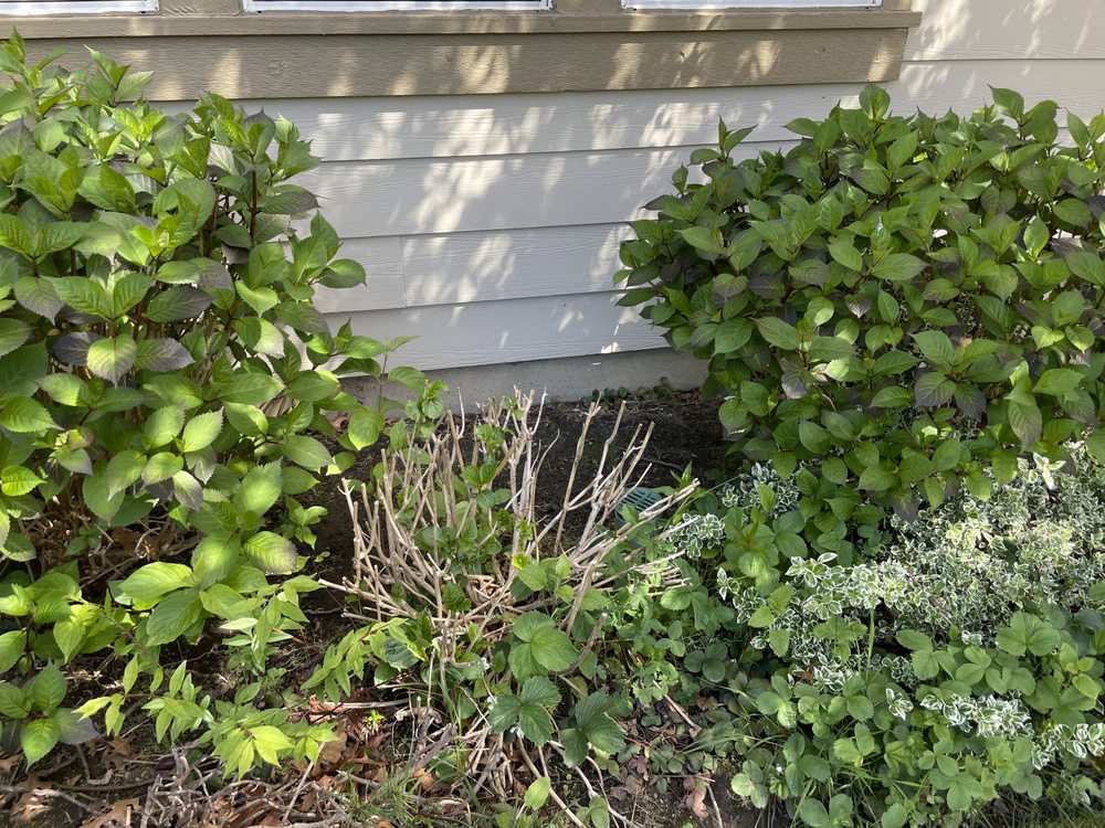 Dolan Dynamic Landscaping