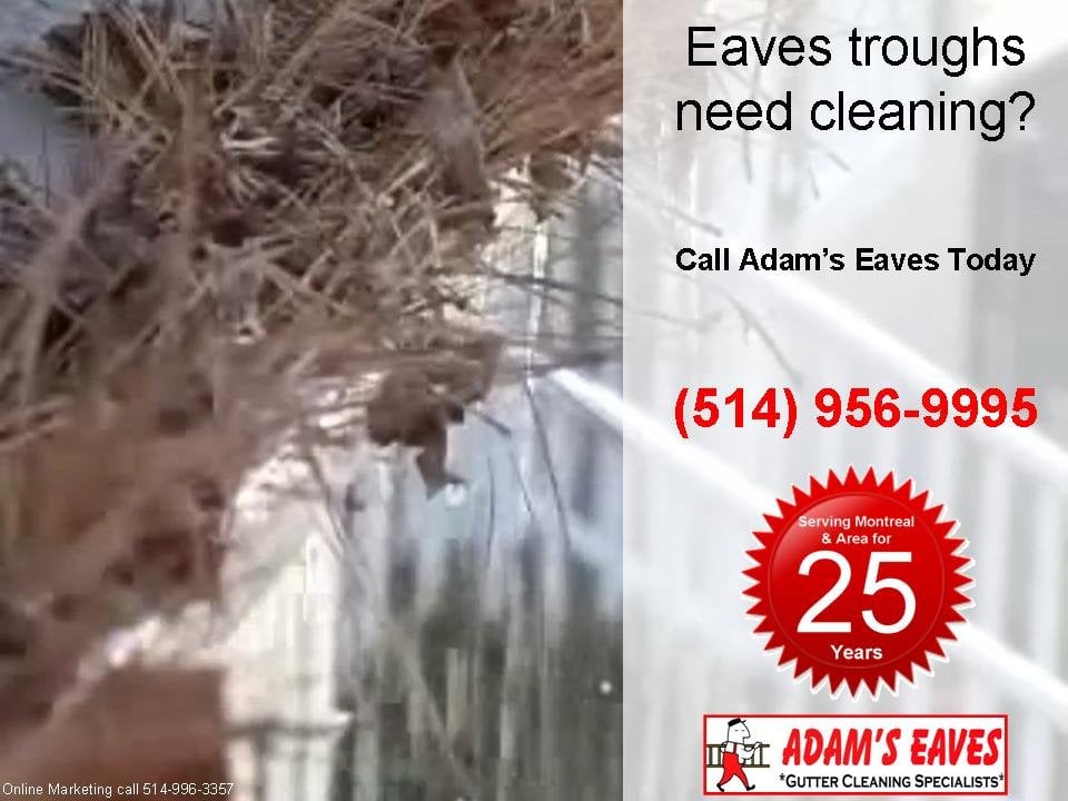 Adam's Eaves