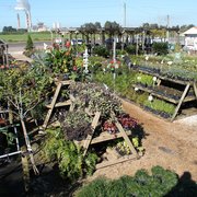 Keep It Green Nursery 16 Photos Nurseries Gardening 7075 N Photo Of Keep It Green Nursery Apollo Beach Fl United States