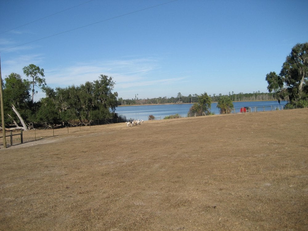 Deep Creek Ranch Ranches 6710 Lake Winona Rd, De Leon Springs, FL