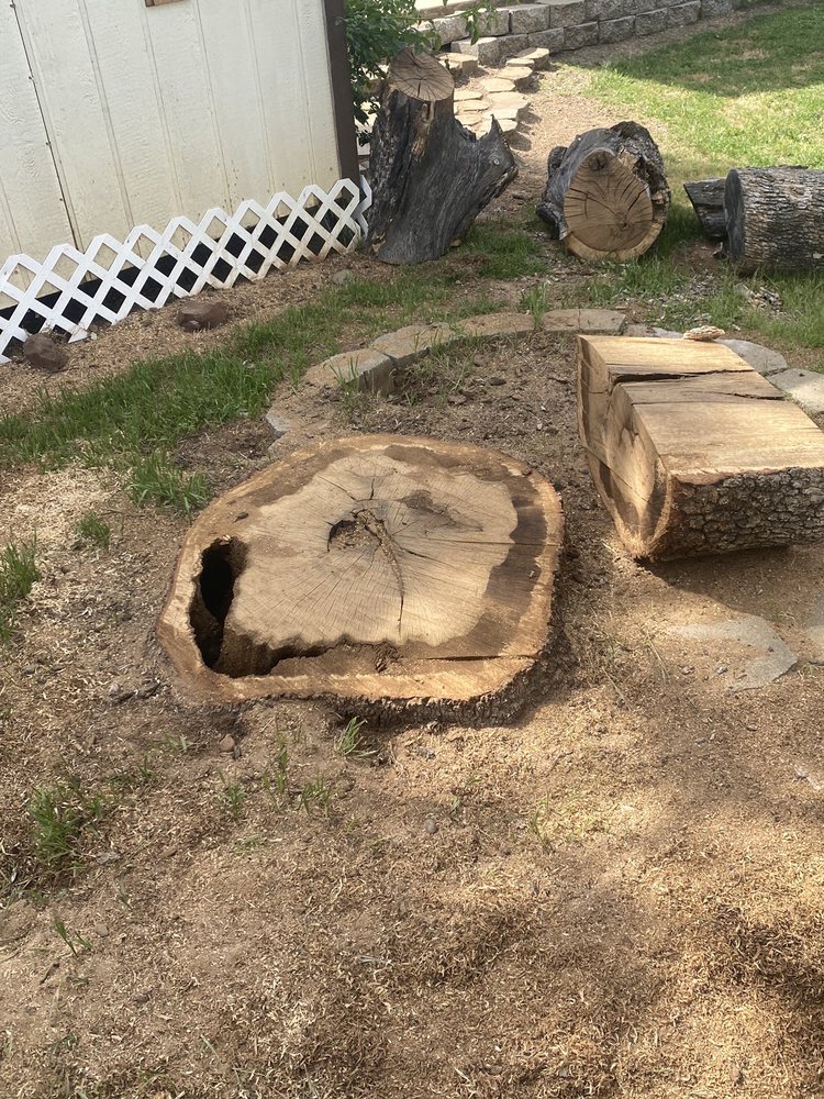 Stumpinator Stump Grinding