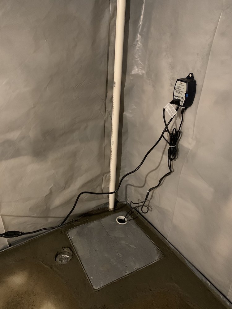 image of business Busy Dog Technologies