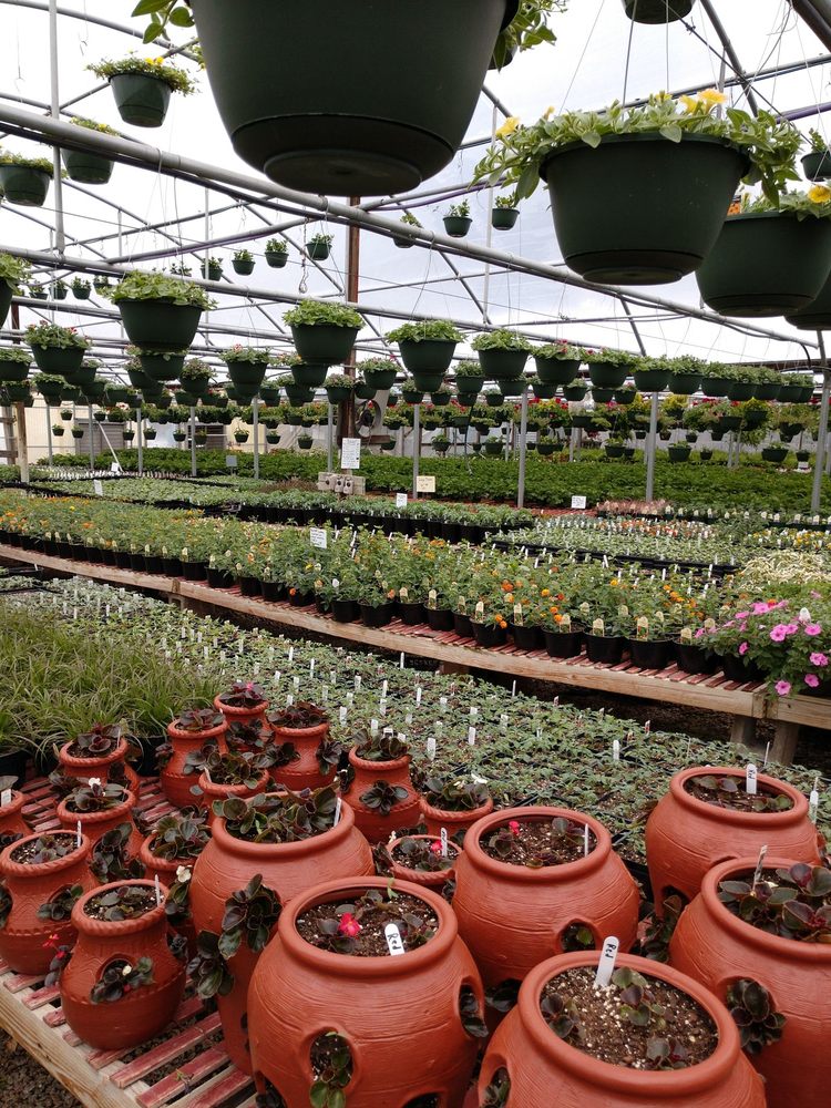 Chris'greenhouse & Garden Center