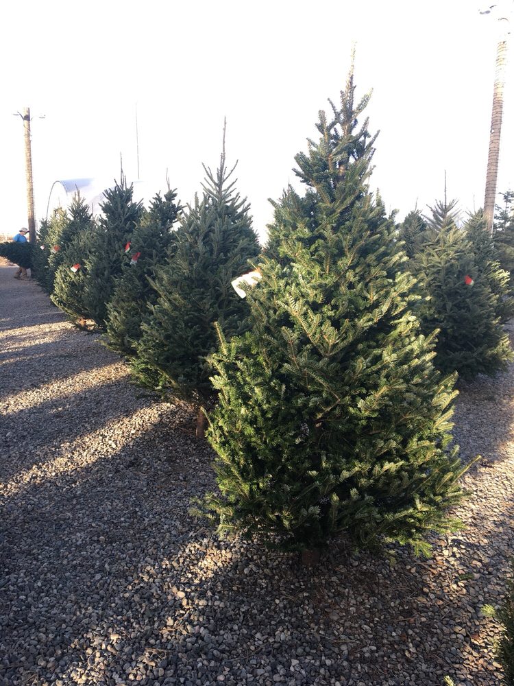 Heidrich¿s Colorado Tree Farm Nursery 12 Photos Nurseries