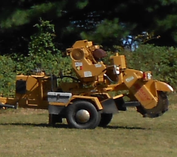 The Stump Grinder
