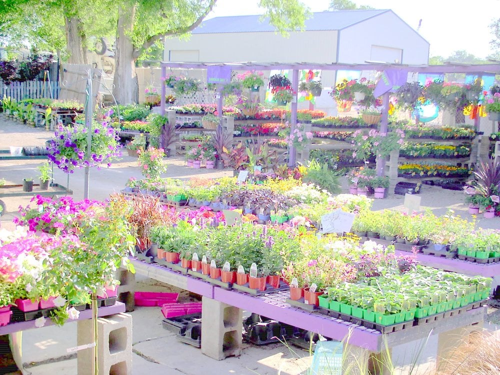 Dee-sign Landscaping & Garden Shop