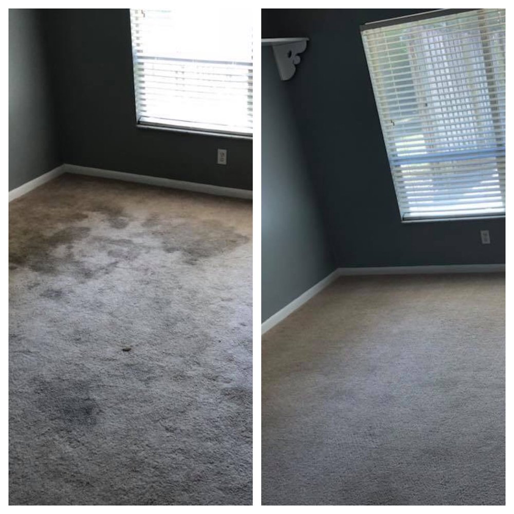 C4 Carpet Care