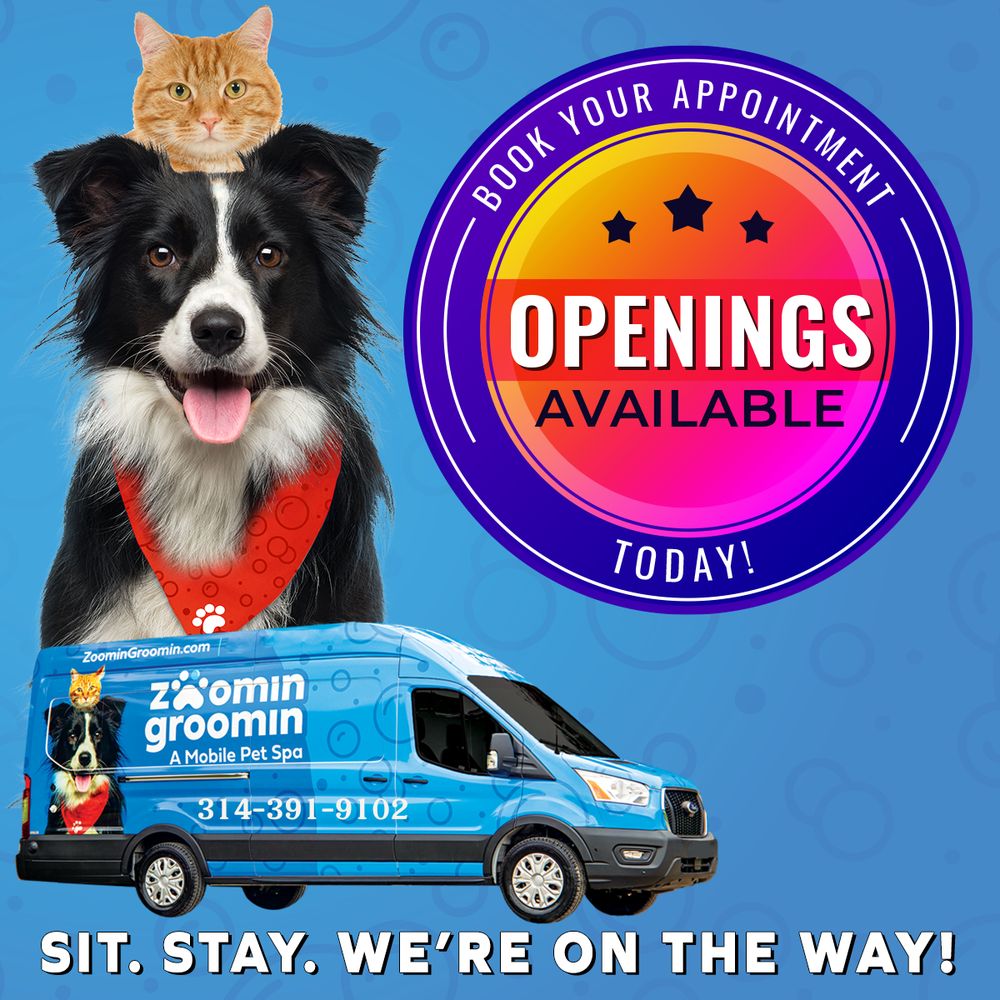 Zen Dog Mobile Spa Zen Dog Mobile Grooming