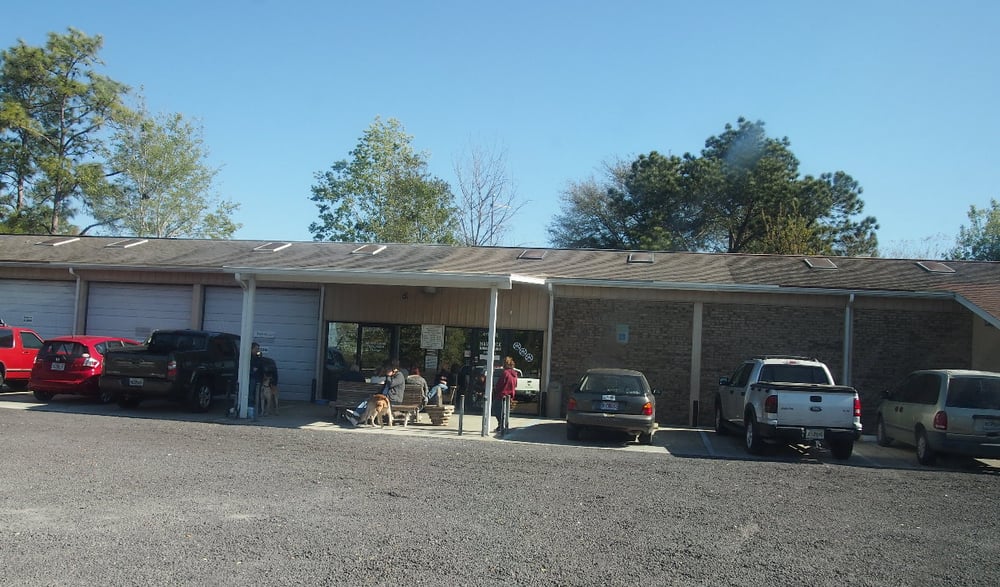 Animal Clinic Orange City Fl Animal Clinic Orange City Fl