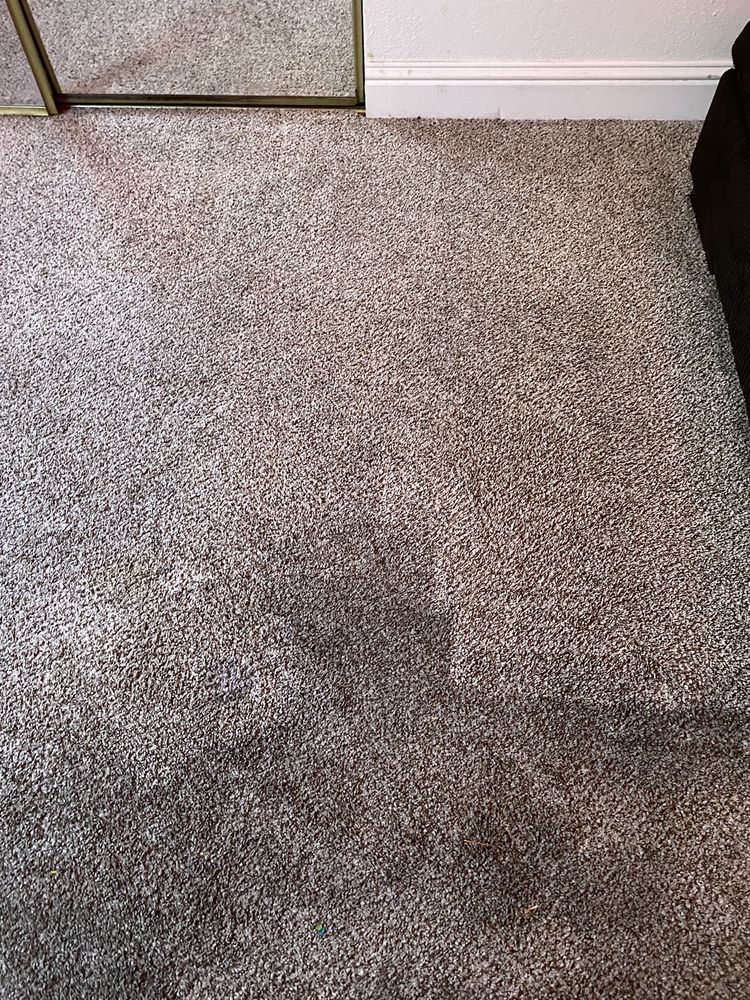 Bass Carpet & Upholstery Cleaning