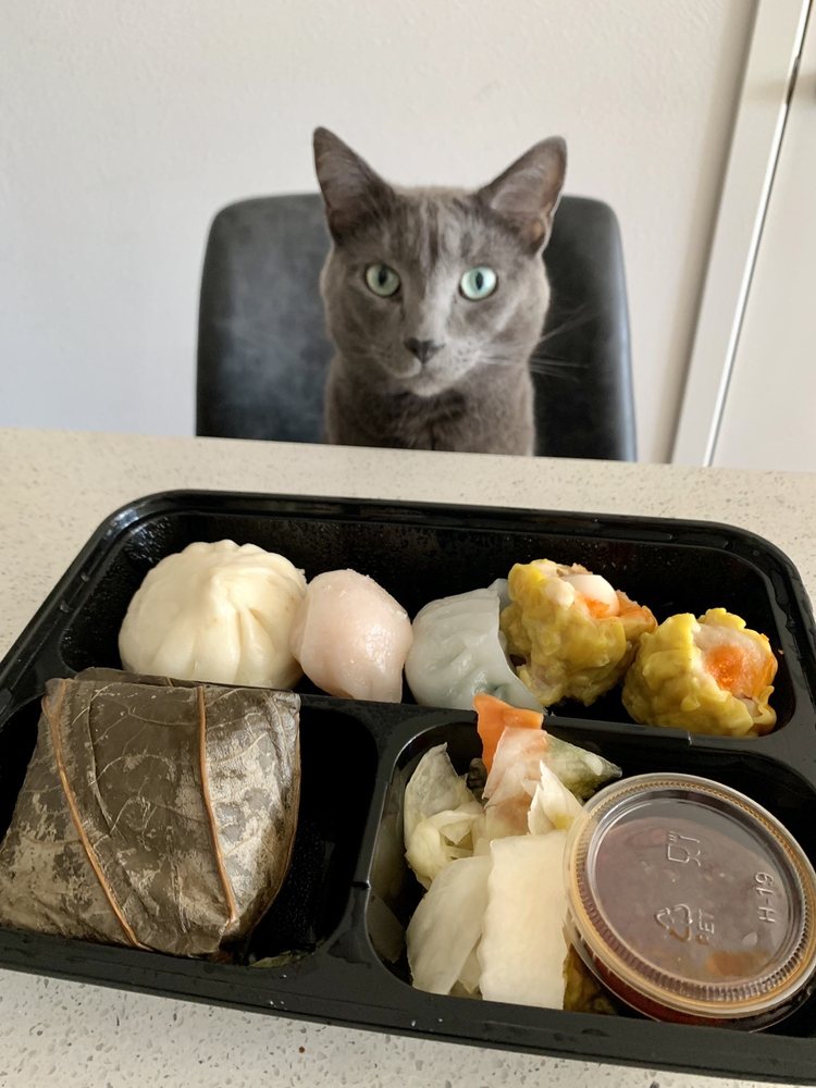 Furiwa Togo Furiwa Togo