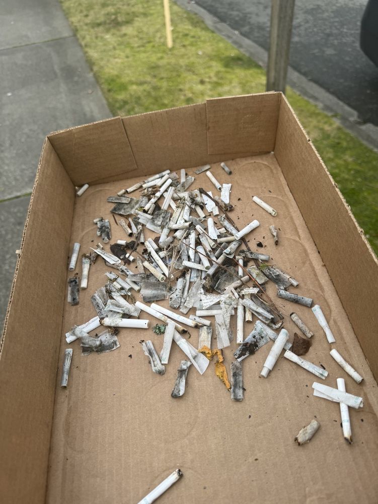 Teriyaki and Wok Teriyaki and Wok