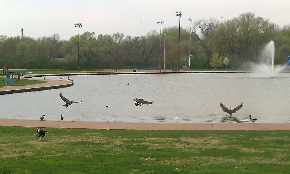 Saint Ferdinand Park Parks Florissant Florissant, MO, United