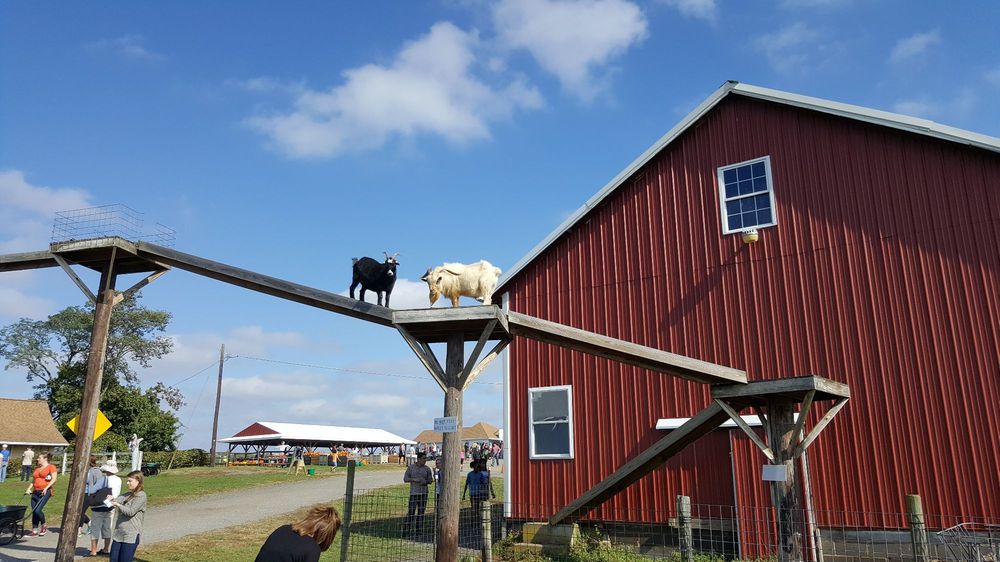 Homestead Farm