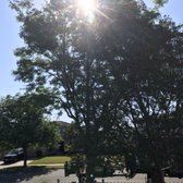 san jose calif park strip trees Jamie james sullivan transgender