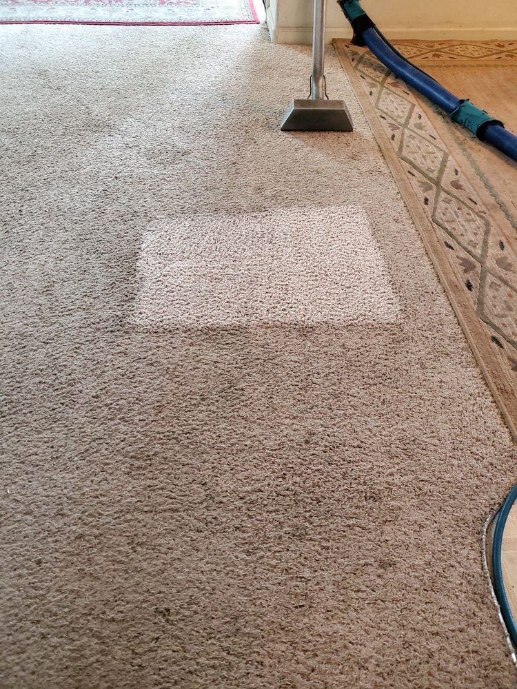 Just A Step Up. Janitorial services