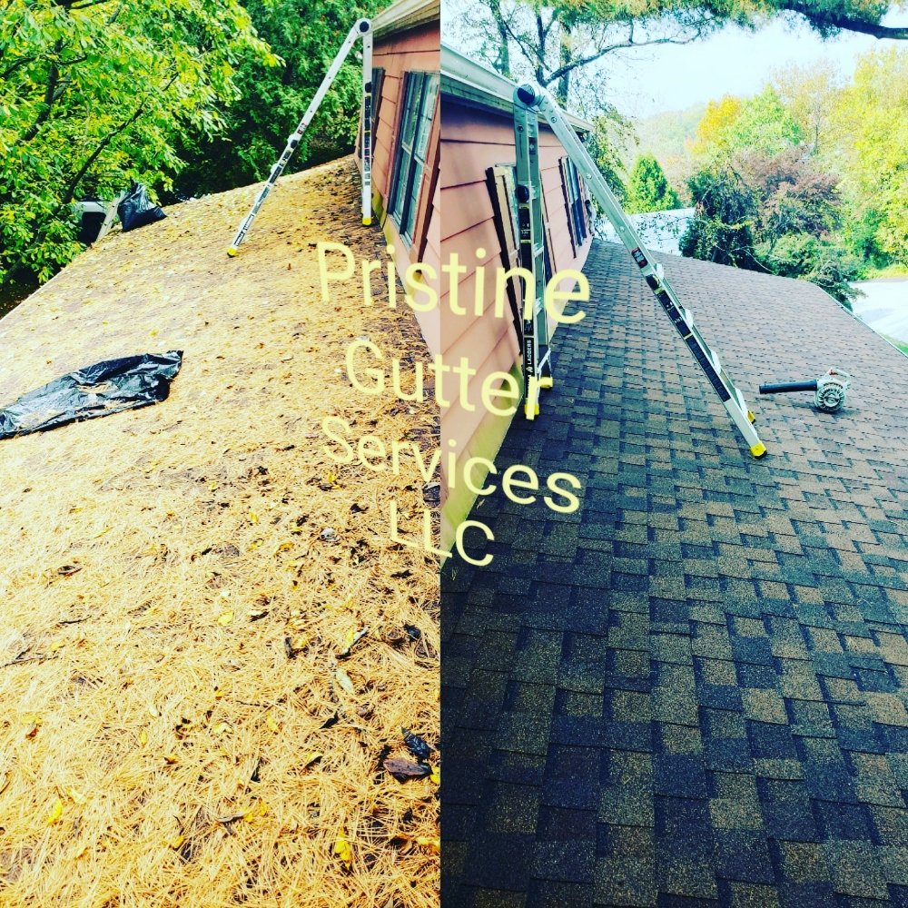 Pristine Gutter Services
