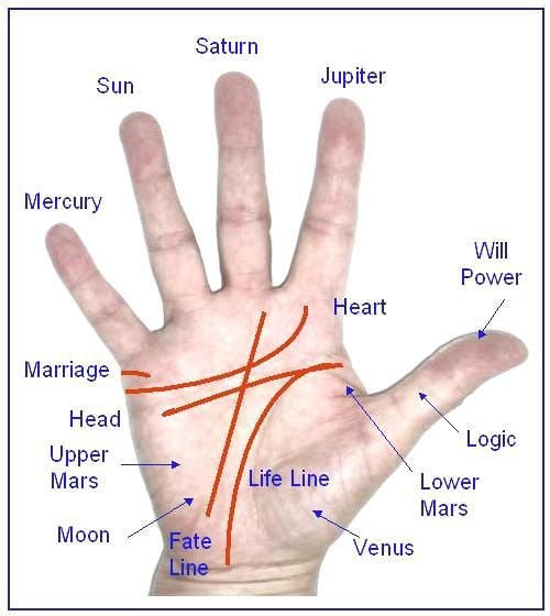 Psychic Reading's By Sandra