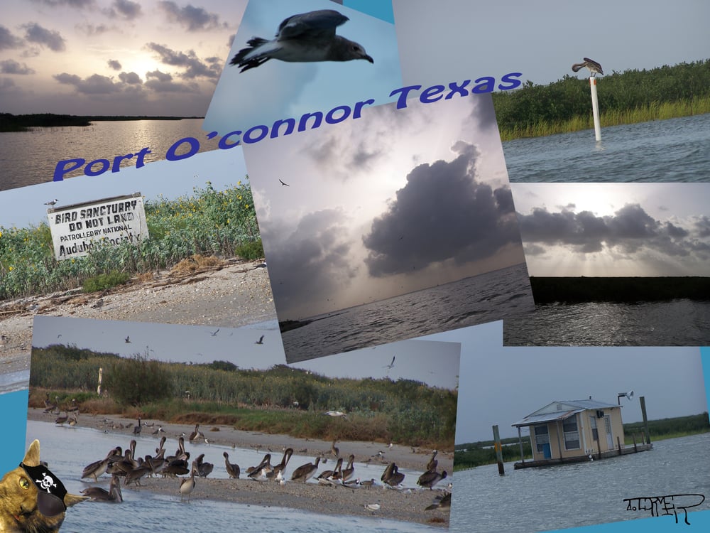 Port O’Connor Chamber of Commerce Beaches Port O'Connor, TX Phone