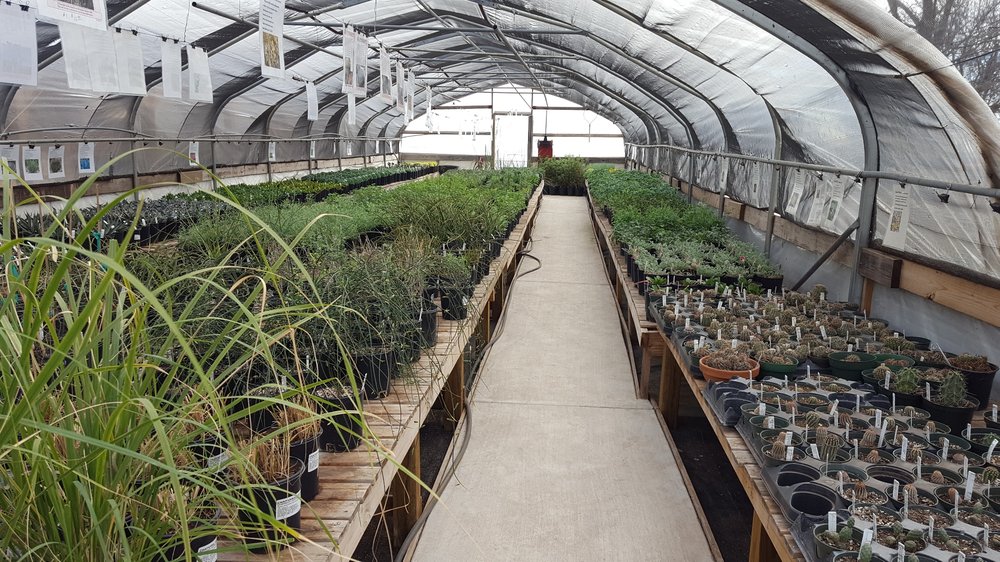 Chaparral Cactus & Succulents 27 Photos Nurseries & Gardening