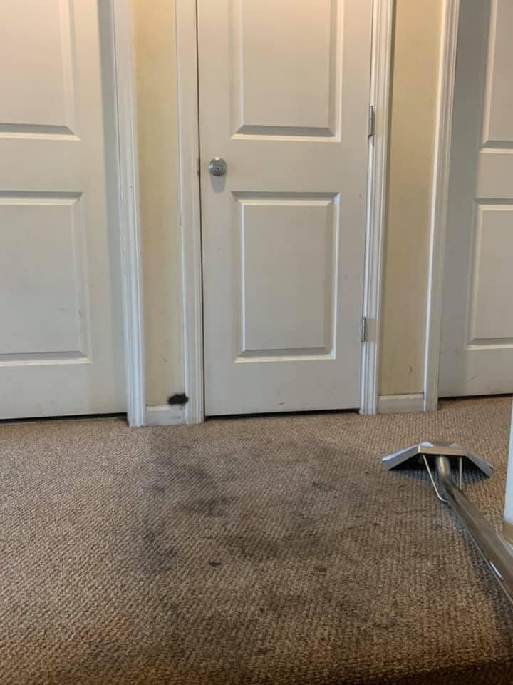 901 Steam Cleaning