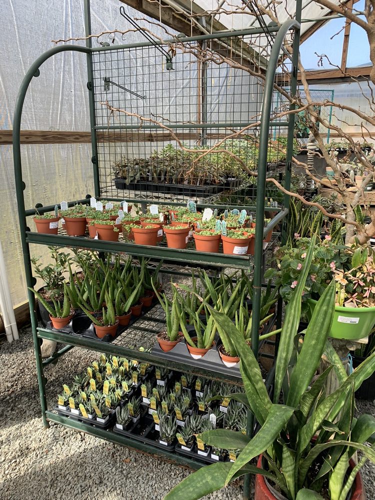 Green Side Up Garden and Gifts