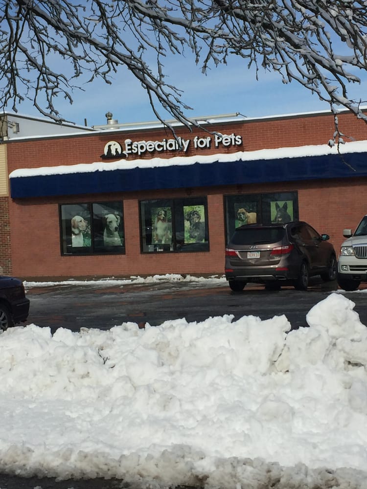 especially for pets 13 reviews pet stores 424 boston especially for pets 13 reviews pet stores 424 boston