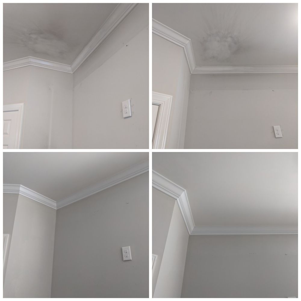 Carolina Coast Painting