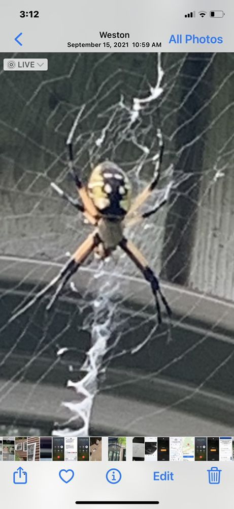 Smart Pest Control