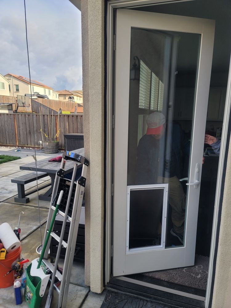 Glass & Windows Specialist