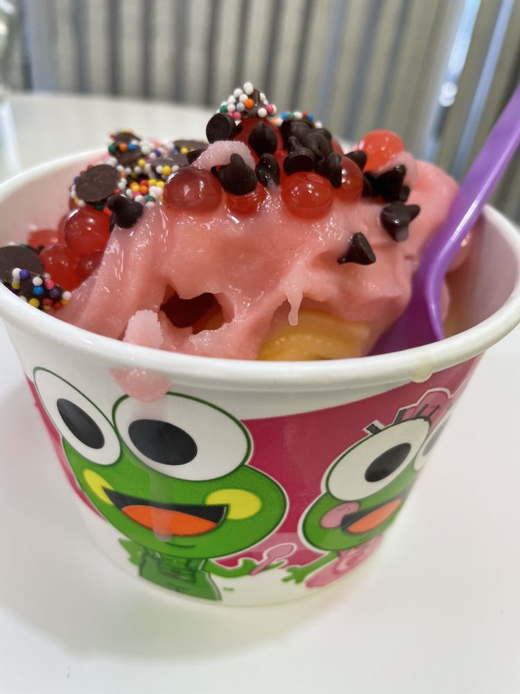 sweetFrog Premium Frozen Yogurt