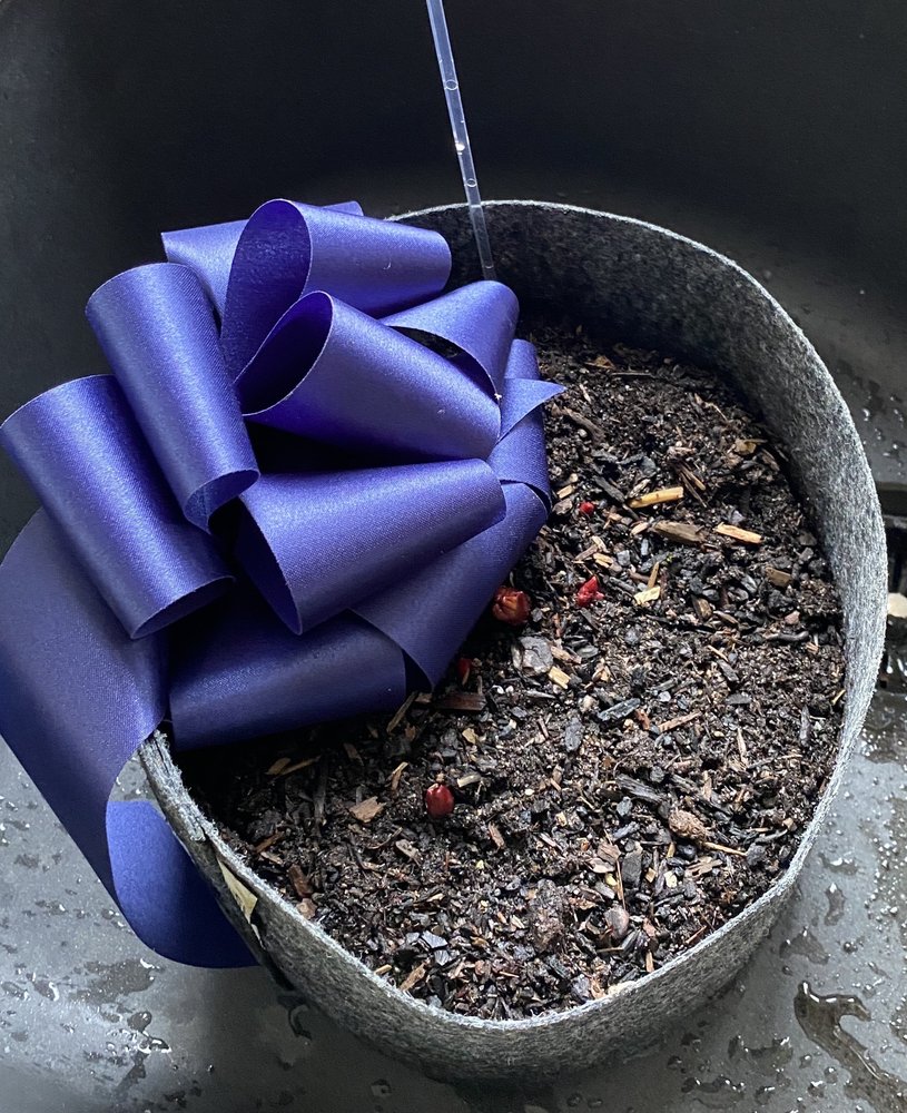 Little Island Farm & Flowers