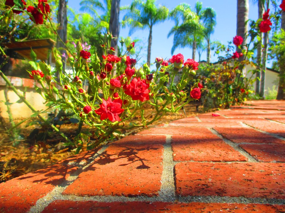 Abundant Life Landscape Maintenance
