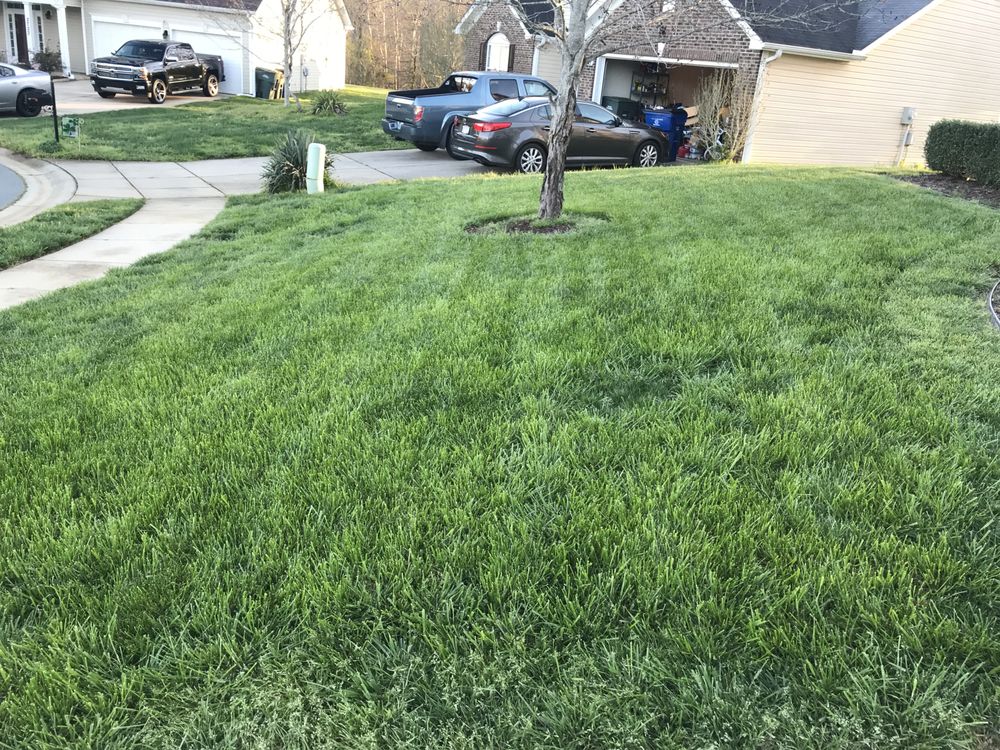 RFLO Lawn Care Services