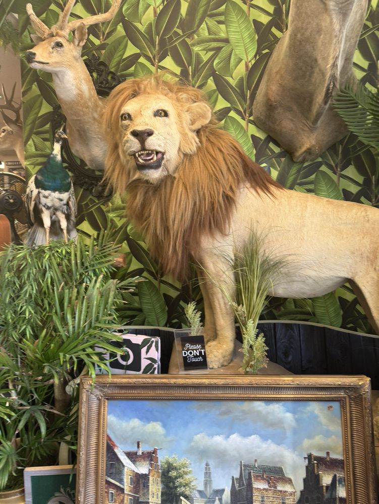 The Parlour Antiques & Oddities