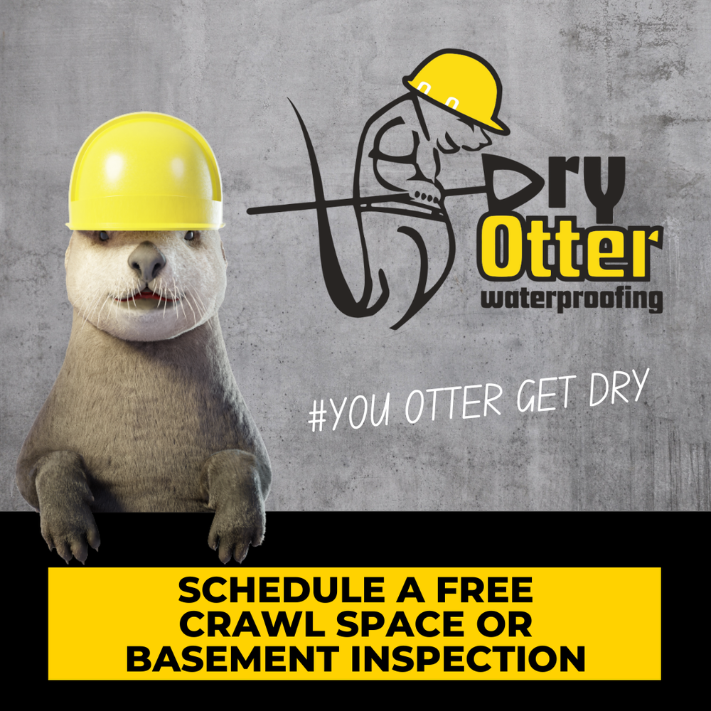 Dry Otter Waterproofing - Charlotte
