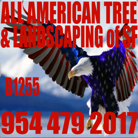 All American Tree Services & Landscaping of South Florida