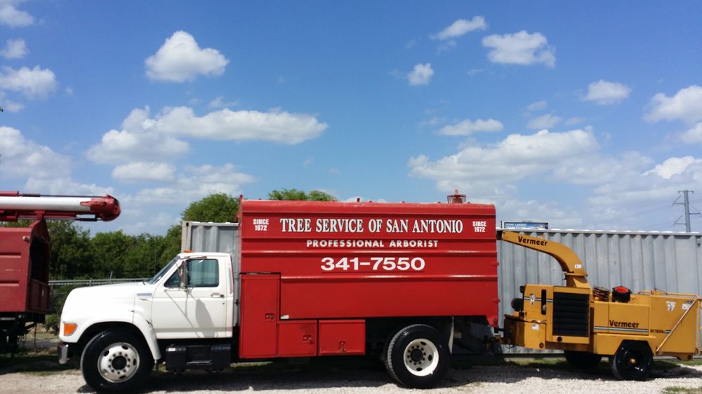 Photos for Tree Service of San Antonio Yelp