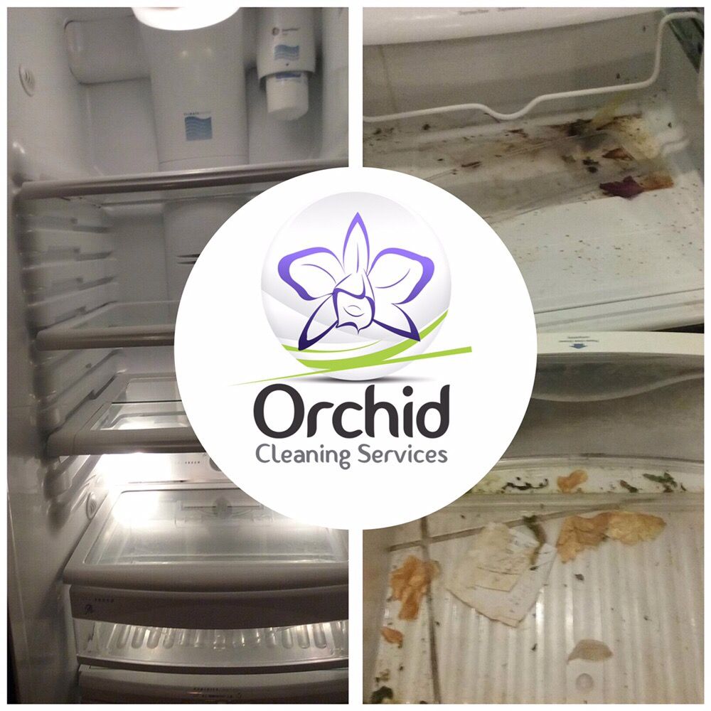 Orchid Cleaning Services 31 Photos & 28 Reviews Home Cleaning 942