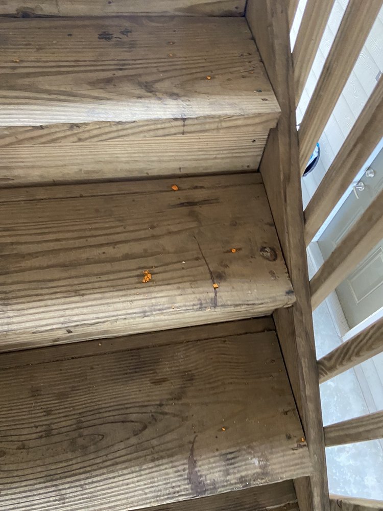 Village on the Lake Apartments