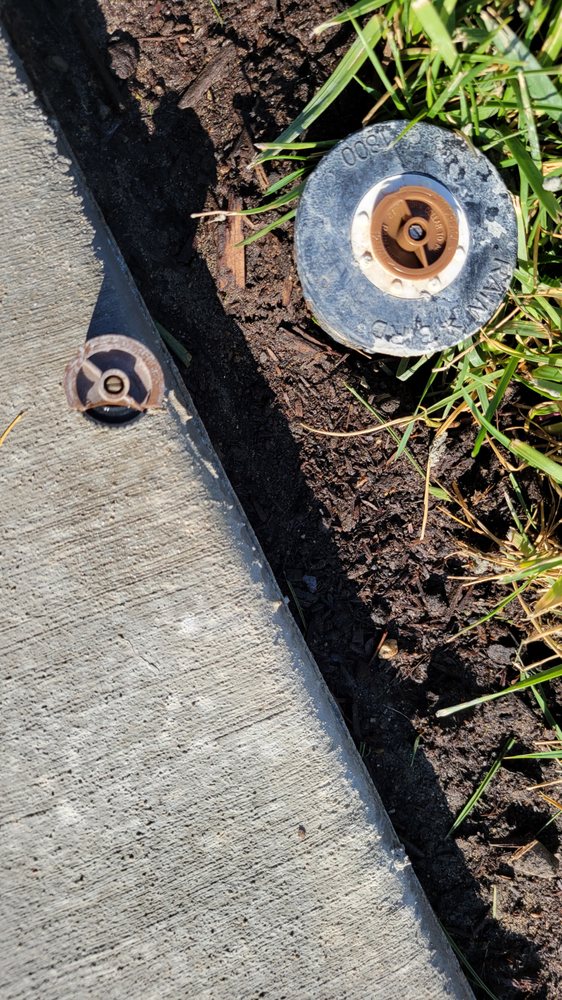 Walnut Handyman
