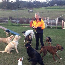 Australian Canine Sports And Training Centre 10 Photos Pet Australian Canine Sports And Training