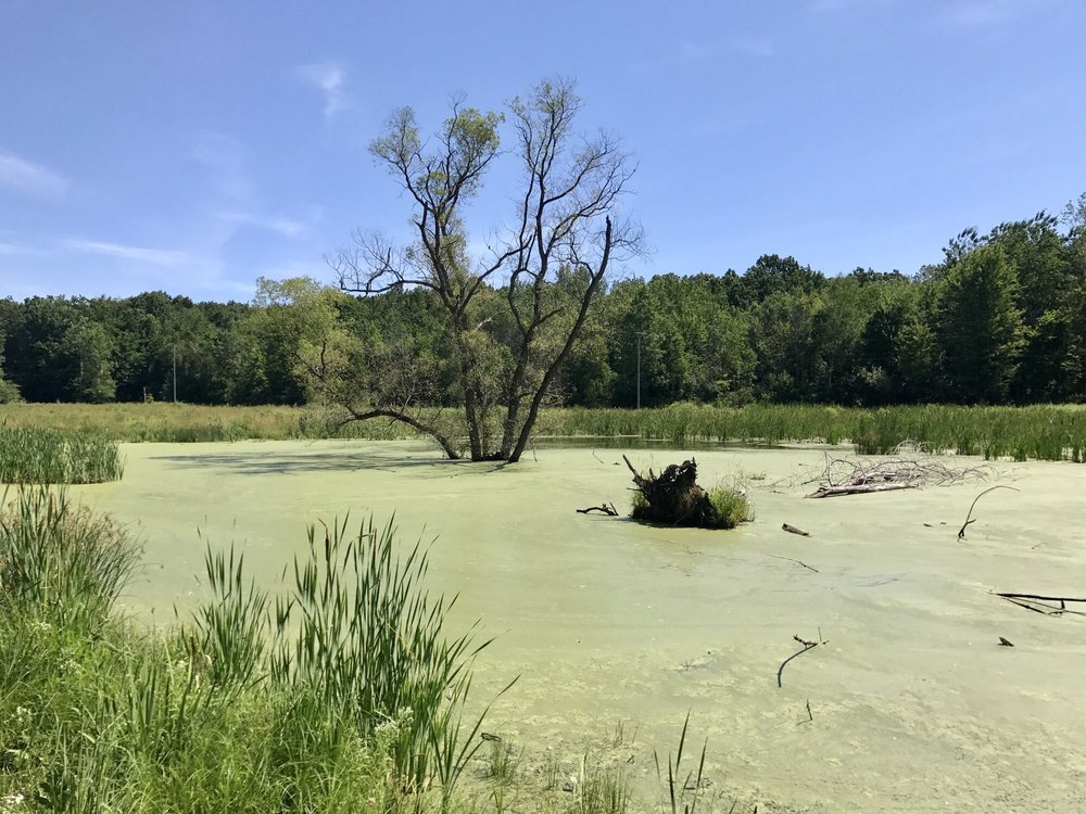 Blandford Nature Center 12 Photos Zoos 1715 Hillburn NW, Grand